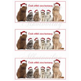 Cicák nélkül nincs karácsony bögrepalást