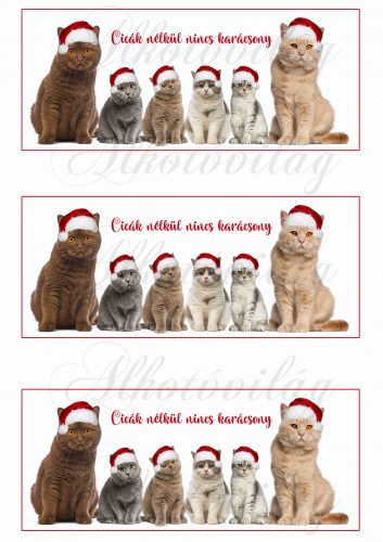 Cicák nélkül nincs karácsony bögrepalást