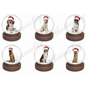 Mikulássapkás kutyusok hógömbökben 2