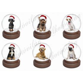 Mikulássapkás kutyusok hógömbökben
