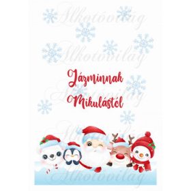   EGYEDILEG NÉVRE SZÓLÓAN-Mikulászsák panel - Mikulással és cuki csapatával 2