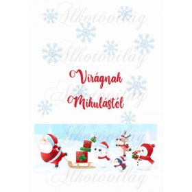   EGYEDILEG NÉVRE SZÓLÓAN-Mikulászsák panel - Mikulással és cuki csapatával 3