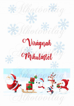 EGYEDILEG NÉVRE SZÓLÓAN-Mikulászsák panel - Mikulással és cuki csapatával 3