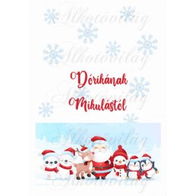   EGYEDILEG NÉVRE SZÓLÓAN-Mikulászsák panel - Mikulással és cuki csapatával