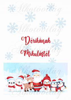 EGYEDILEG NÉVRE SZÓLÓAN-Mikulászsák panel - Mikulással és cuki csapatával