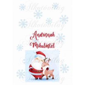   EGYEDILEG NÉVRE SZÓLÓAN-Mikulászsák panel - Mikulással, cuki rudival