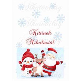   EGYEDILEG NÉVRE SZÓLÓAN-Mikulászsák panel - Mikulással, Rudival, hóemberrel