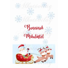   EGYEDILEG NÉVRE SZÓLÓAN-Mikulászsák panel - Mikulással, szánnal szarvasokkal