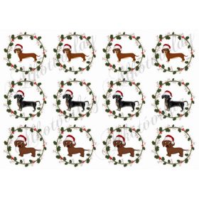 Tacsik magyalkoszorúkban mikulássapkában