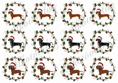 Tacsik magyalkoszorúkban mikulássapkában