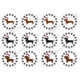 Tacsik tappancsos körökben mikulássapkában