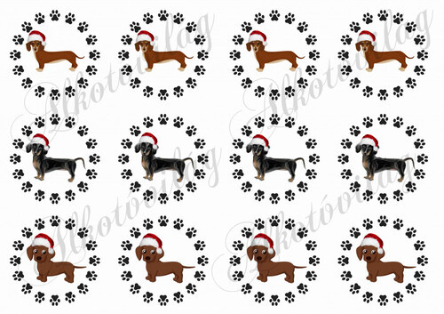 Tacsik tappancsos körökben mikulássapkában