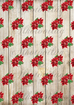 Mikulásvirágok fa deszkán