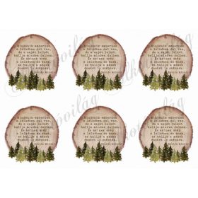 Fakarikák fenyőfákkal Babits idézettel