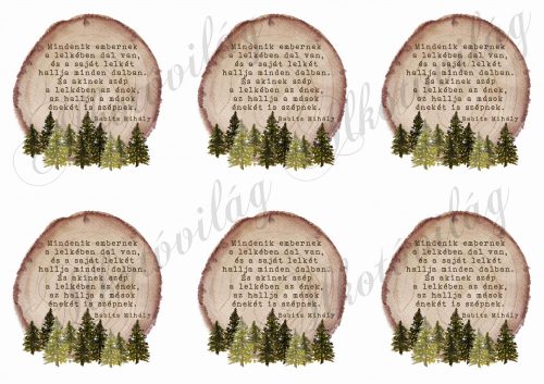 wooden rings with pine trees and a quote from Babits