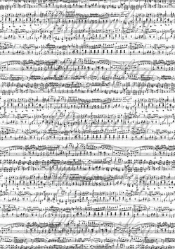 Kottás sűrűbben fekete-fehér