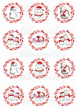 Tüneményes cicusok mikulássapkában karácsonyi koszorúkkal KICSIBEN