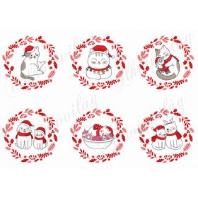   Tüneményes cicusok mikulássapkában karácsonyi koszorúkkal