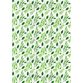 Magyal és  fagyöngy levelek