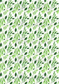 Magyal és  fagyöngy levelek