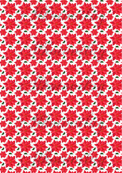 Mikulásvirágok magyal levelekkel- KICSIBEN