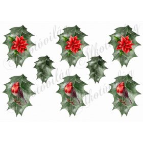   Magyal levelek kézzel festve mikulásvirággal és madárkával