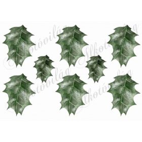 Magyal levelek kézzel festve