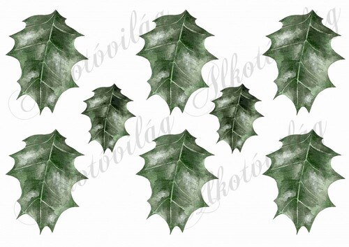 Magyal levelek kézzel festve