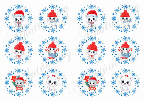 Cuki cicák karácsonyi sapiban, hópelyhes koszorúkban KICSIBEN