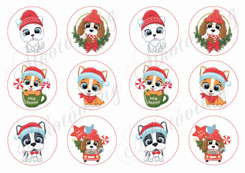 Karácsonyi kutyusok körökben KICSIBEN
