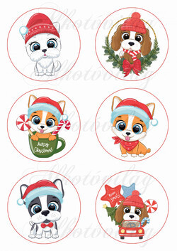 Karácsonyi kutyusok körökben