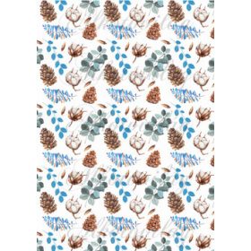 Tobozok, leveles ágak, termések