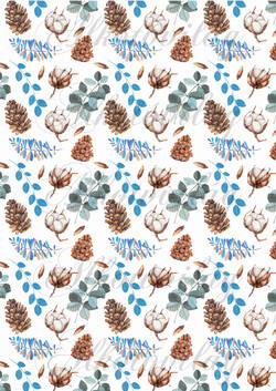 Tobozok, leveles ágak, termések