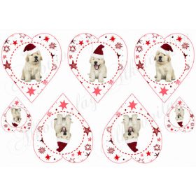 Piros csillagos szívek cuki labrador kölykökkel