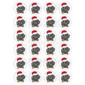 Tüneményes tacsi kölyök mikulássapkában - MINIBEN