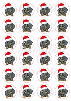 Tüneményes tacsi kölyök mikulássapkában - MINIBEN