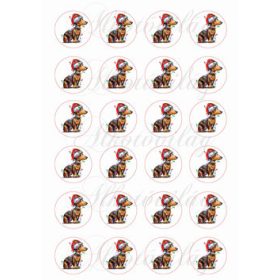 Tacskó kutyusok mikulássapkában