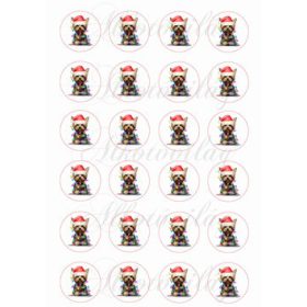 Yorki kutyusok mikulássapkában