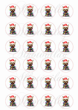 Yorki kutyusok mikulássapkában