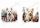 Westie kutyusok karácsonyi díszekkel 3- kb. 12x11 cm