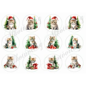   Tüneményes kiscicák mikulássapkában karácsonyi díszlettel - 6 cm-es körökben