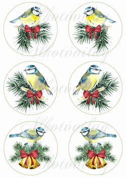 Kék cinkék fenyőágon - 9 cm