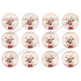 Rénik fa alapon 12 db - 6,5 cm