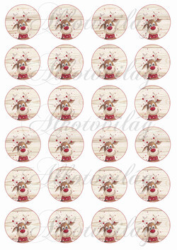 Rénik fa alapon 24 db - 4 cm