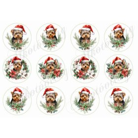   Yorkie kutyusok karácsonyi fenyőágakkal 6 cm-es körökben