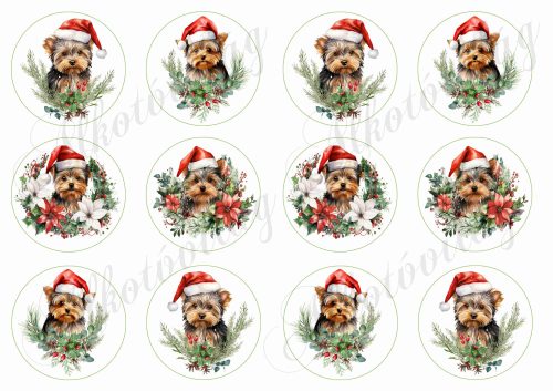 Yorkie kutyusok karácsonyi fenyőágakkal 6,5 cm-es körökben
