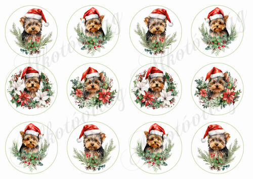 Yorkie kutyusok karácsonyi fenyőágakkal 6 cm-es körökben