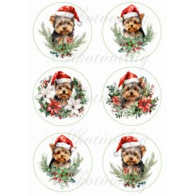   Yorkie kutyusok karácsonyi fenyőágakkal 9 cm-es körökben