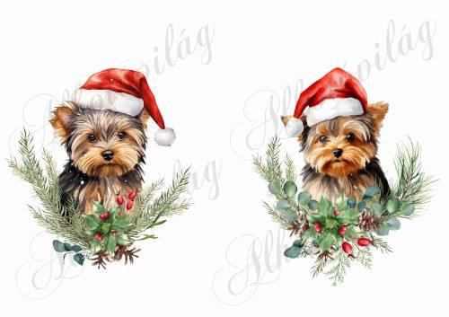 Yorkie kutyusok karácsonyi fenyőágakkal