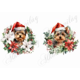 Yorkie kutyusok karácsonyi koszorúkkal